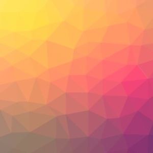 Meet your Posher, Ameer